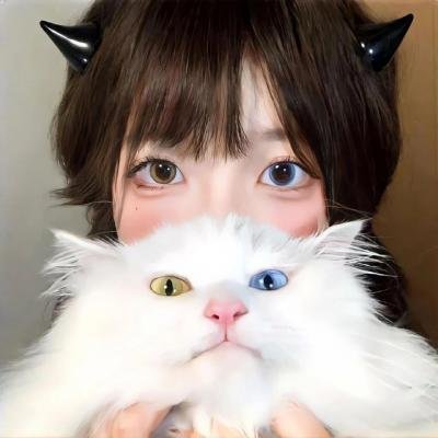 租赁猫